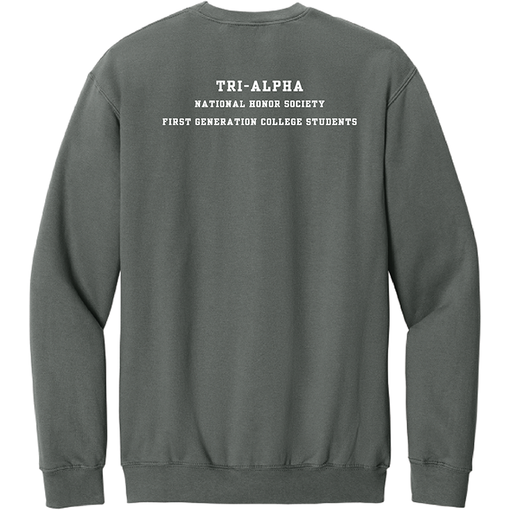 Gildan Softstyle Crewneck Sweatshirt - Charcoal