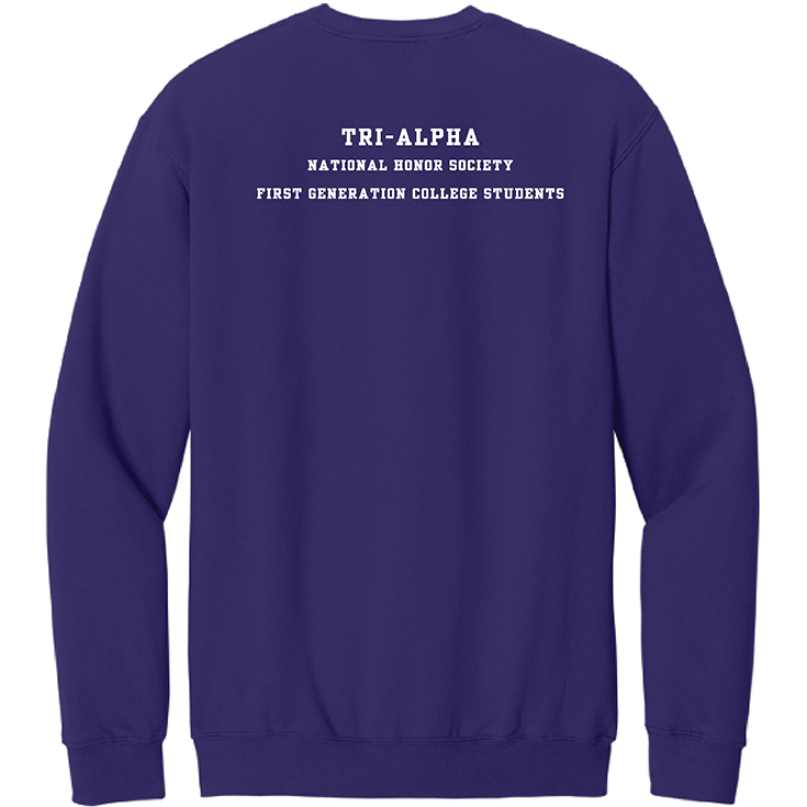 Gildan Softstyle Crewneck Sweatshirt - Purple